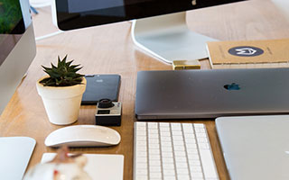 黄金甲体育：用实力与态度点亮每一个运动日